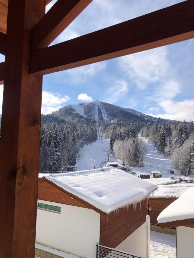 Chalet Kokhta Bakuriani Exteriér fotografie