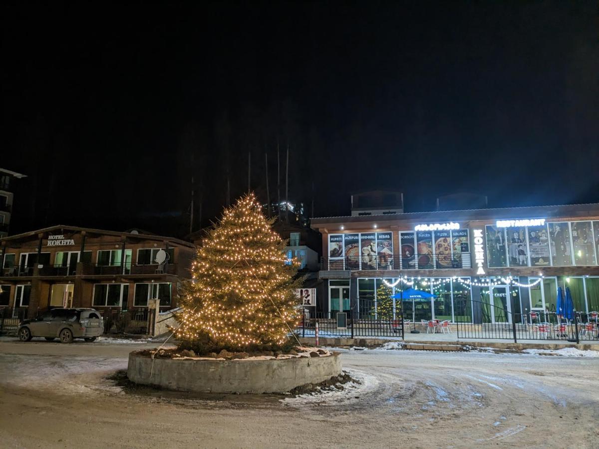 Chalet Kokhta Bakuriani Exteriér fotografie