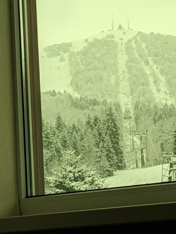 Chalet Kokhta Bakuriani Exteriér fotografie