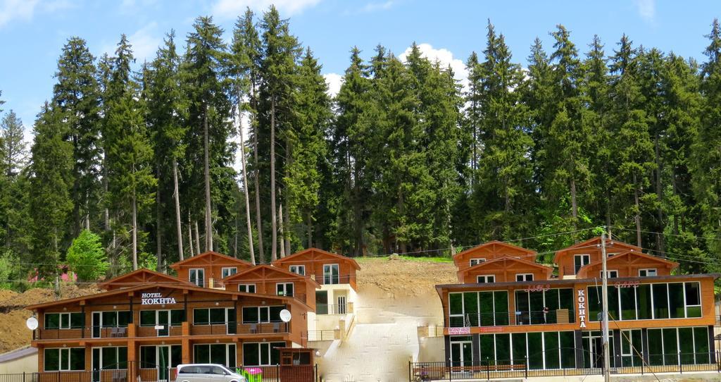 Chalet Kokhta Bakuriani Exteriér fotografie