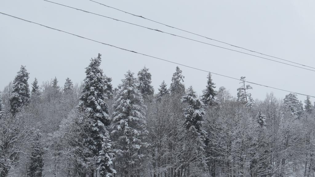 Chalet Kokhta Bakuriani Exteriér fotografie
