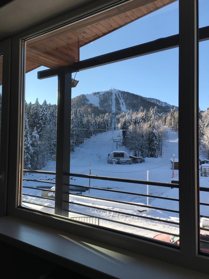 Chalet Kokhta Bakuriani Exteriér fotografie